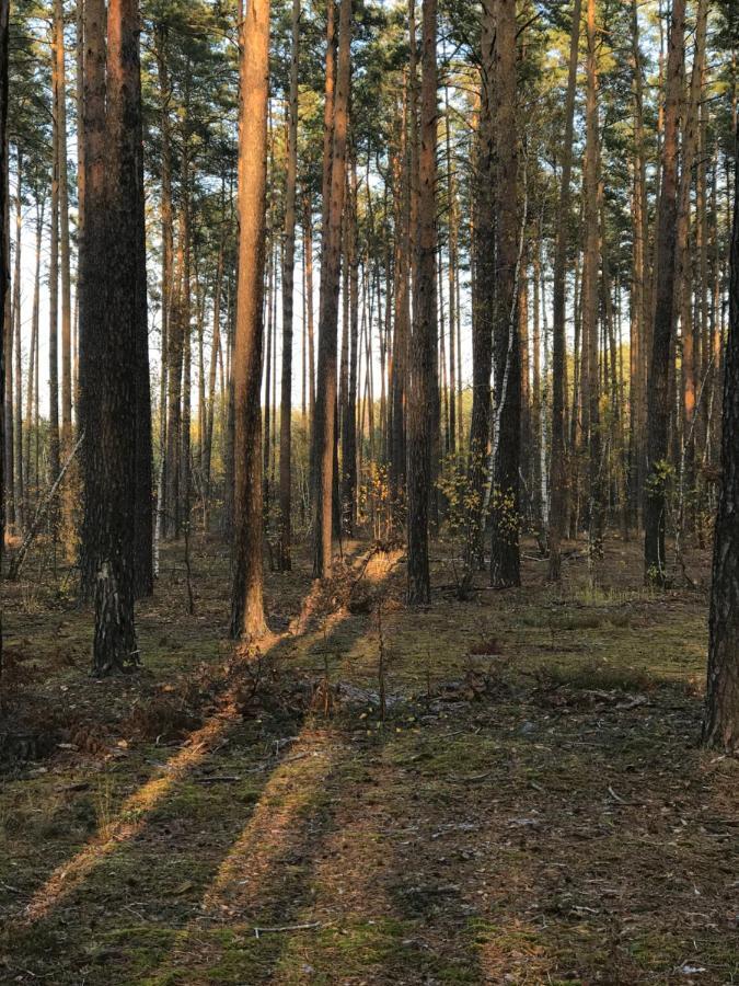 Диброва Dibrova  Экстерьер фото